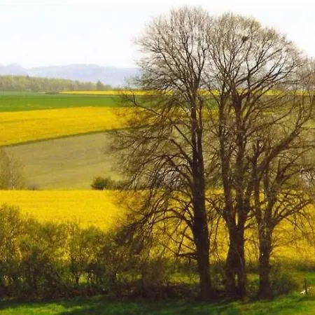 Rose Garden 公寓 *